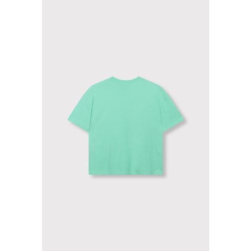 ALIX t-shirt Mint  (601 - ) - Hype Fashion (Schoten)