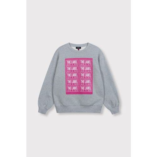 ALIX sweater grey  (604 - ) - Hype Fashion (Schoten)