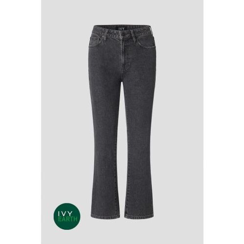 IVY jeans grey IVY jeans grey